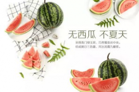 娱乐吃瓜酱文化,揭秘明星幕后故事与粉丝狂欢盛宴
