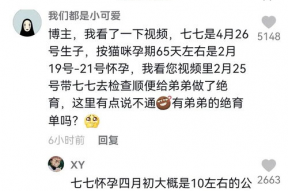 娱乐圈吃瓜抖音博主是谁,抖音博主背后的故事