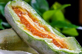 娱乐吃瓜作品有哪些类型,吃瓜群众的多元化娱乐作品类型大盘点