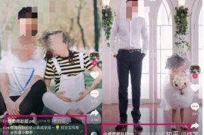 吃瓜小说娱乐圈完结推荐,瓜田里的甜蜜结局