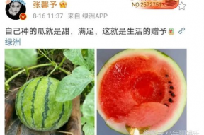 娱乐圈的瓜可以吃,揭秘明星幕后故事