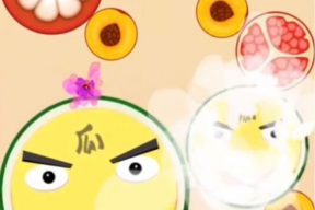 娱乐吃瓜酱素材从哪来的,网络创意与版权保护