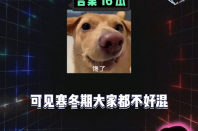 吃瓜娱乐八卦号是什么,吃瓜文化的兴起与影响