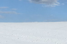 娱乐吃瓜洲,揭秘娱乐圈背后的那些事儿