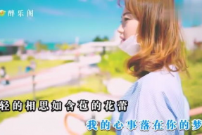 娱乐吃瓜小阿酱是谁啊小说,揭秘网络小说中的神秘女主角