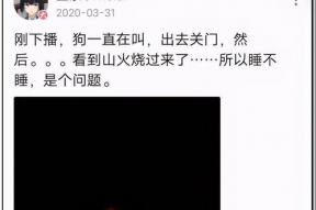 娱乐圈吃瓜大集合txt,揭秘“吃瓜大集合”txt背后的精彩故事