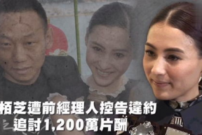 娱乐性吃瓜,揭秘明星们的“吃瓜”大作战