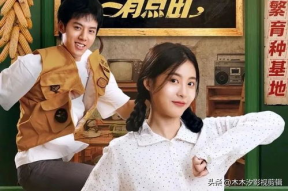 娱乐圈吃瓜短剧推荐小说,从吃瓜短剧到小说的奇幻之旅